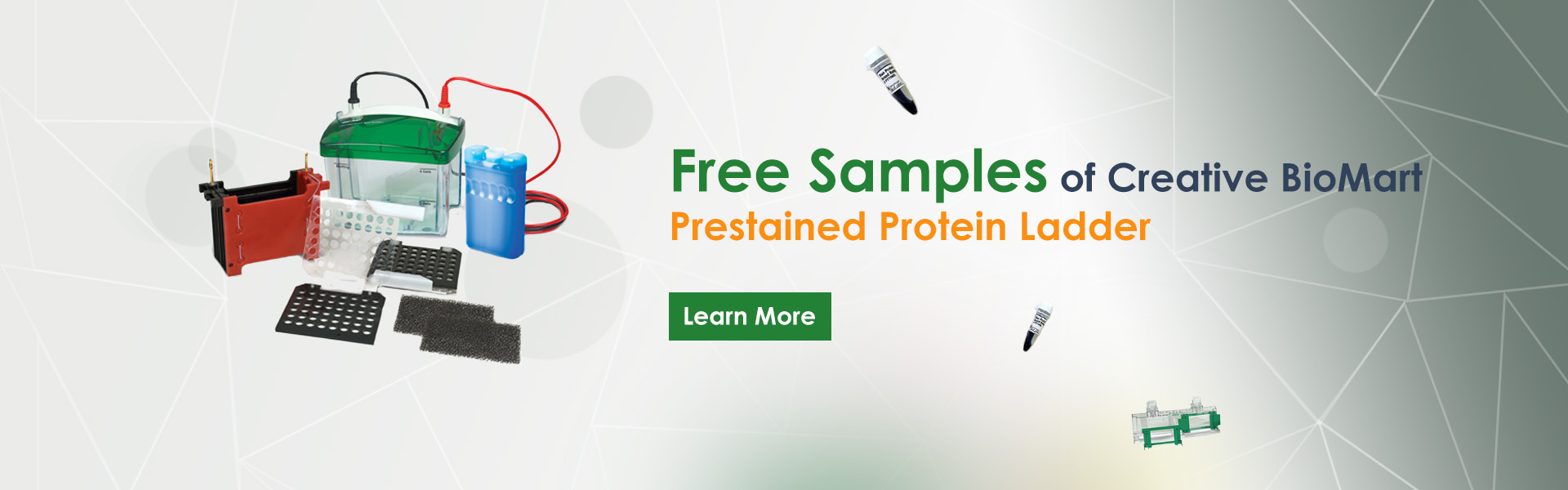 Free Samples of Creative BioMart Prestained Protein Ladder